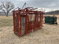 Thorson Bison Squeeze Chute 