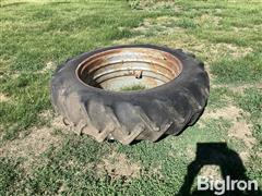 IMG_1137.jpeg