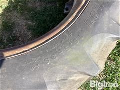 IMG_1135.jpeg