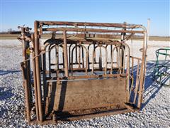 Cattle Catch Chute 