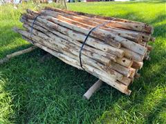 Untreated Cedar Posts 