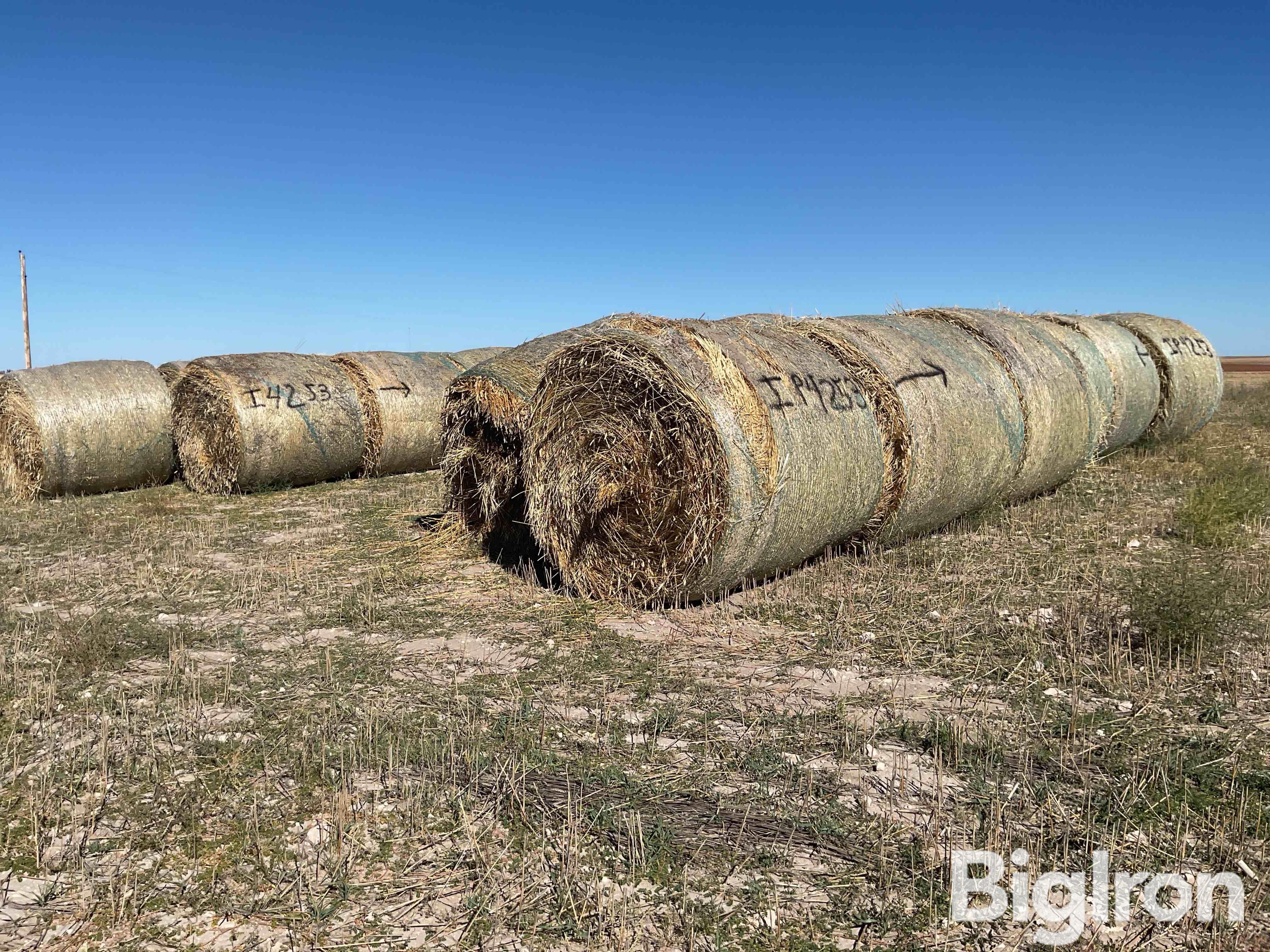 Round Hay Bales 