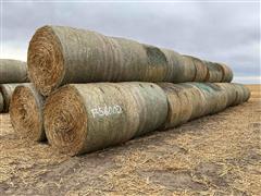 2023 Sorghum Sudangrass Round Hay Bales 