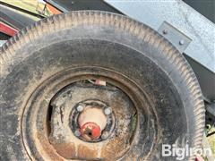 IMG_9472.jpeg