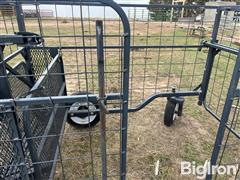 IMG_8555.jpeg