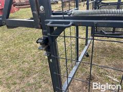 IMG_8565.jpeg