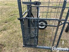 IMG_8557.jpeg