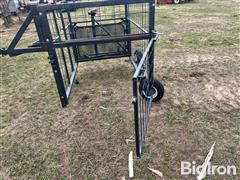 IMG_8566.jpeg