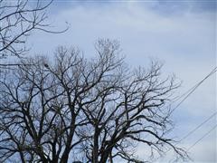 IMG_1760.JPG