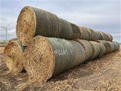 2023 Sorghum Sudangrass Round Hay Bales 