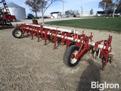 Lilliston 8R30 Rolling Cultivator 