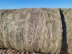 items/2bdf16d10059ec11b8200003fff90bee/milostalkbales-7_0123ad0733ad4de2b718601dc0fa78f2.jpg