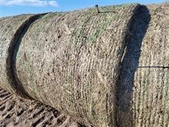 items/2bdf16d10059ec11b8200003fff90bee/milostalkbales-7_32ce0f41ee774429ad94efa0e5bd009a.jpg