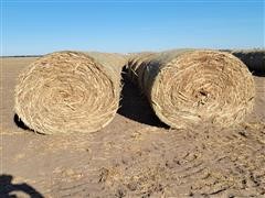 items/2bdf16d10059ec11b8200003fff90bee/milostalkbales-7_46fba6ed703245b5bec4c8ede76132ac.jpg