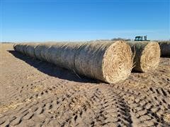 items/2bdf16d10059ec11b8200003fff90bee/milostalkbales-7_a71861d80ca44bfbb20c1962ae218133.jpg