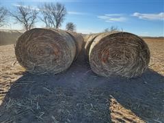 items/2bdf16d10059ec11b8200003fff90bee/milostalkbales-7_efa64ab5a5b8468c81609fa91c67adbf.jpg