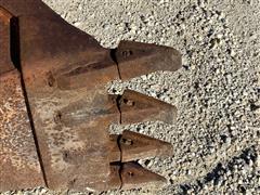IMG_3523.jpeg