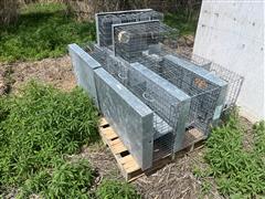 Small Animal Cages 