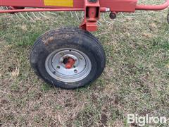IMG_9265.jpeg