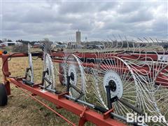 IMG_9267.jpeg