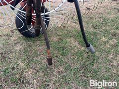 IMG_9261.jpeg