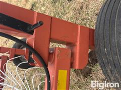 IMG_9253.jpeg