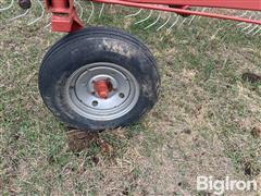 IMG_9257.jpeg
