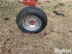 IMG_9252.jpeg