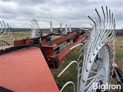 IMG_9270.jpeg