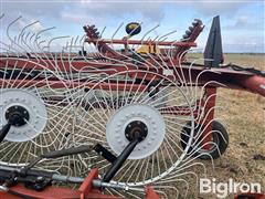 IMG_9254.jpeg