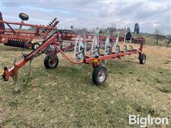Agco 4324 Pull-Type 12 Wheel Rake 