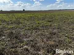 Tract 4: 78.54 Acres Reno County, KS