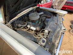 IMG_2598.jpeg