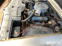 IMG_2597.jpeg