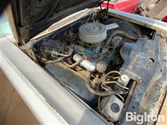 IMG_2595.jpeg