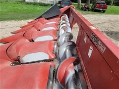 items/30c402ccf00eed11b5cf0003fff934d4/2009caseih3206cornheader_3988672ccae74b3db2ea025bba1231be.jpg