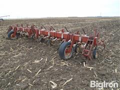 International 8R30" Row Crop Cultivator 