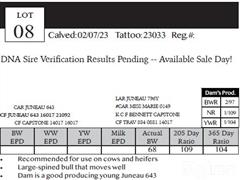 Lot 8 Pedigree.JPG