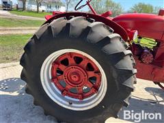 IMG_2654.jpeg