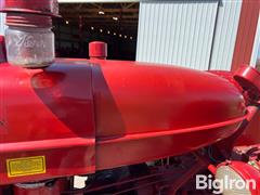 IMG_2637.jpeg