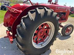 IMG_2653.jpeg