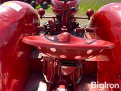 IMG_2649.jpeg