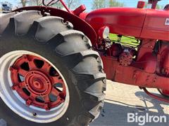 IMG_2655.jpeg