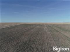 8 Wheat aerial view.JPG