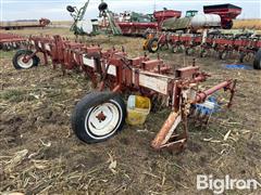 Lilliston 64 8 Row Rolling Cultivator 