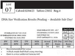 Lot 7 Pedigree.JPG