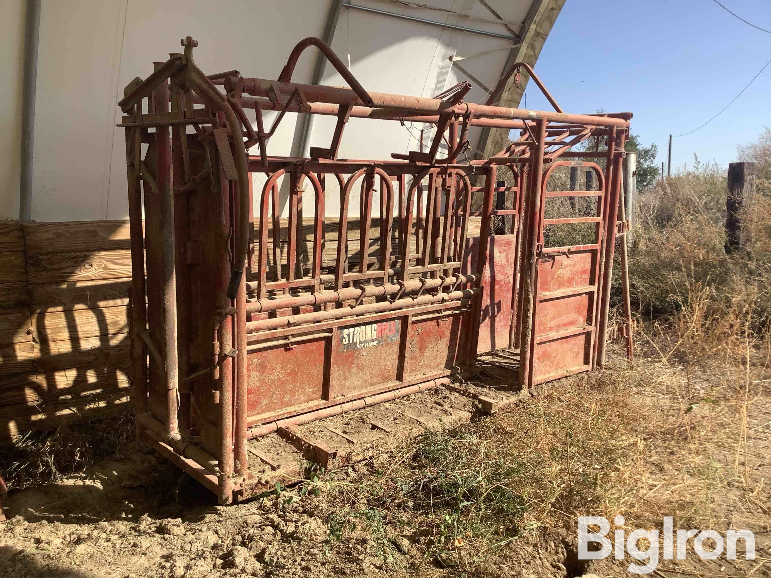 StrongHold By Hagie Cattle Squeeze Chute W/Palpation Cage & Alley 