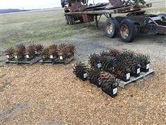 Bush Hog Rolling Cultivator Units 