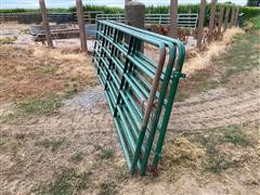 16' Metal Gates 