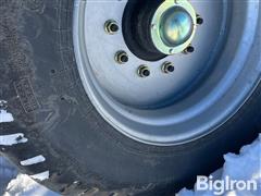 IMG_4274.jpeg